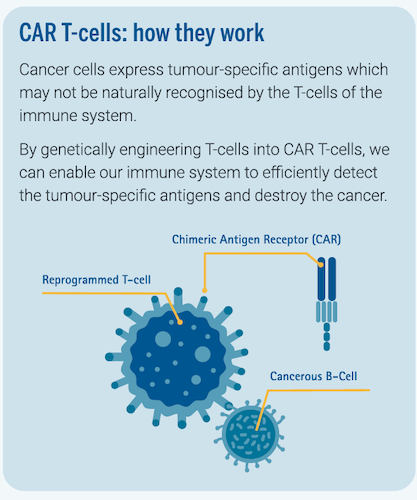 CAR T Cell Therapy: A remarkable breakthrough in cancer treatment