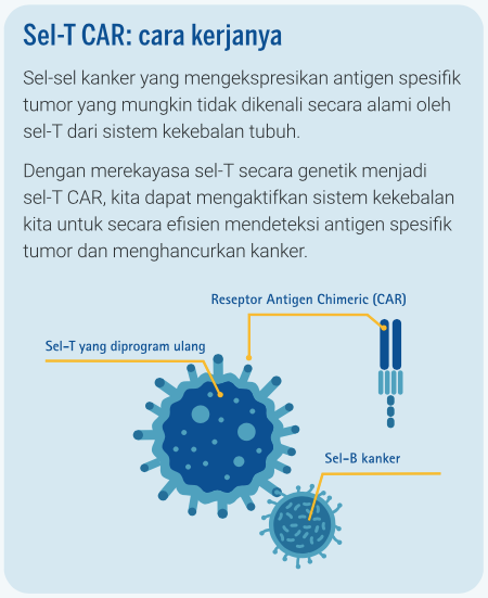 Infografis - Sel-T Car - Cara Kerjanya