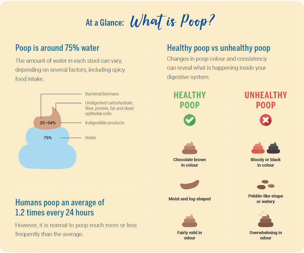 All About Poop (And How to Tell If You Have Healthy Poop)