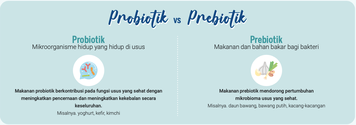 Infografis: Probiotik vs Prebiotik