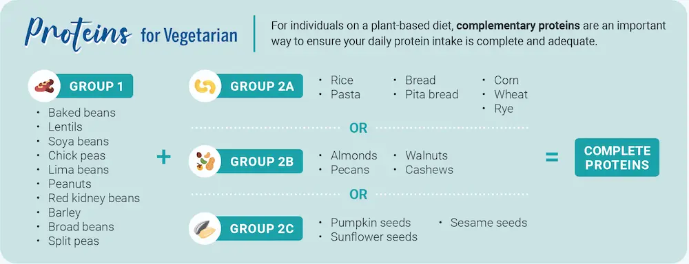 Infographic - Proteins for Vegetarian