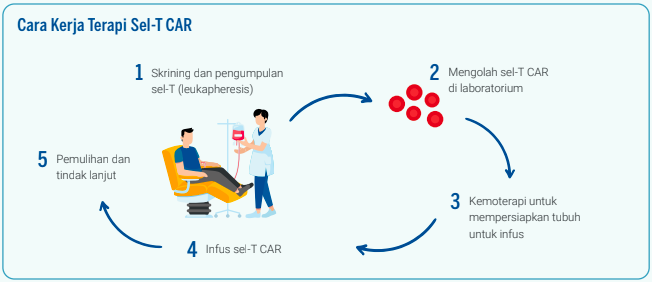 how car-t cell therapy works